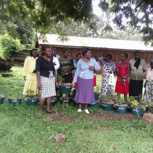 483505846_957375163207856_8293241827177047394_n